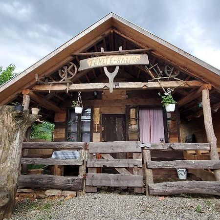 Casa Rustic Feher & Fekete Vendeghazak ソバタ エクステリア 写真