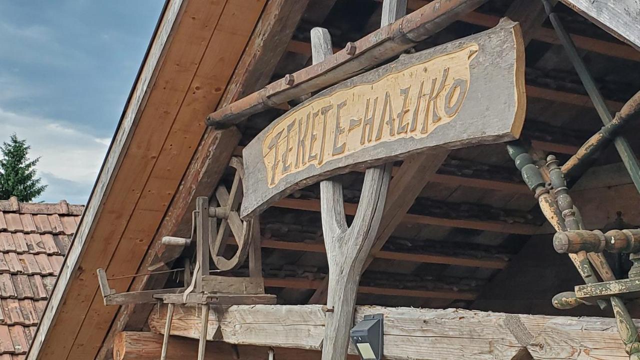 Casa Rustic Feher & Fekete Vendeghazak ソバタ エクステリア 写真
