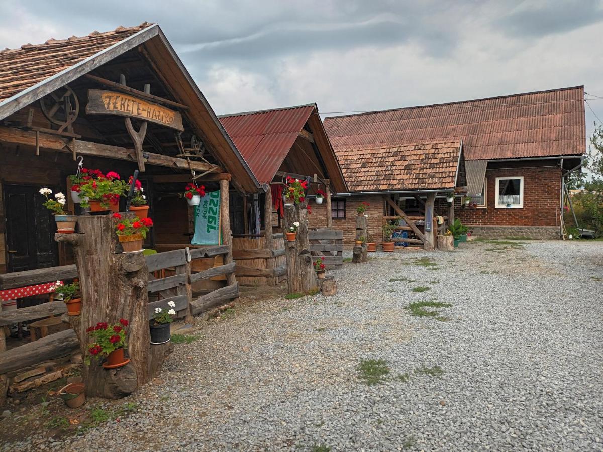 Casa Rustic Feher & Fekete Vendeghazak ソバタ エクステリア 写真